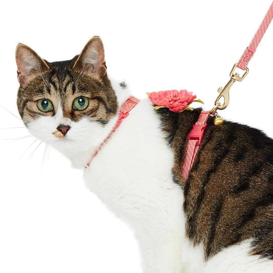 Ensemble de Laisse et Harnais pour Chat - Blueberry Pet