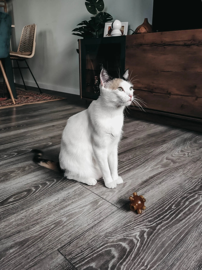Jouet pour chats Rub Free Jump X2 - POCURULL SL (Retorn)
