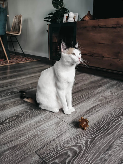 Jouet pour chats Rub Free Jump X2 - POCURULL SL (Retorn) – vue 3